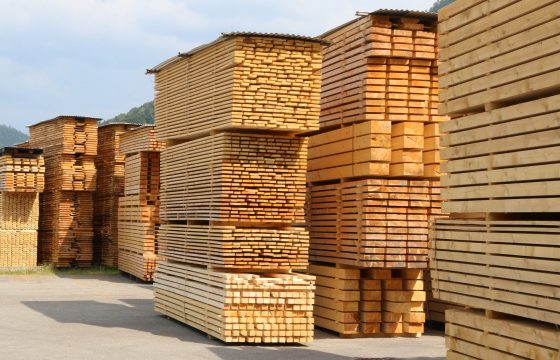 Wir sollten Bauholz für den heimischen Markt zurückhalten