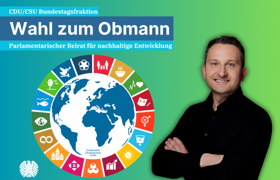 Obmann der CDU/CSU-Bundestagsfraktion im PBnE