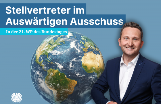 Stellvertreter im Auswärtigen Ausschuss