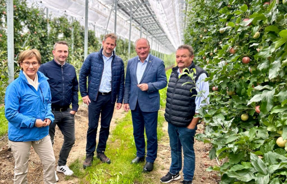 Die erste Agri-Photovoltaikanlage über Apfelbäumen in Europa